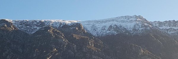 WelshHFNF Profile Banner
