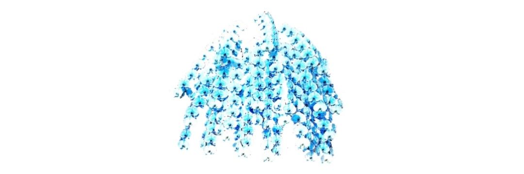 touca_m's profile banner image