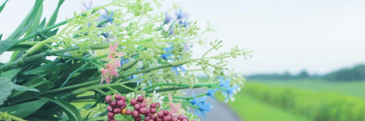 123_eeechun's profile banner image