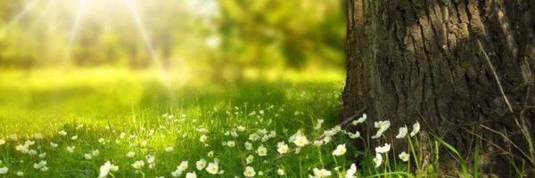 CEIPELPRADO Profile Banner