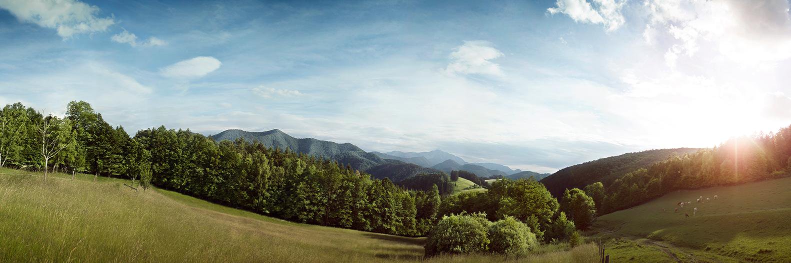 Wiener Alpen in NÖ banner