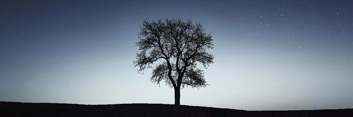 the_kelemassa's profile banner image