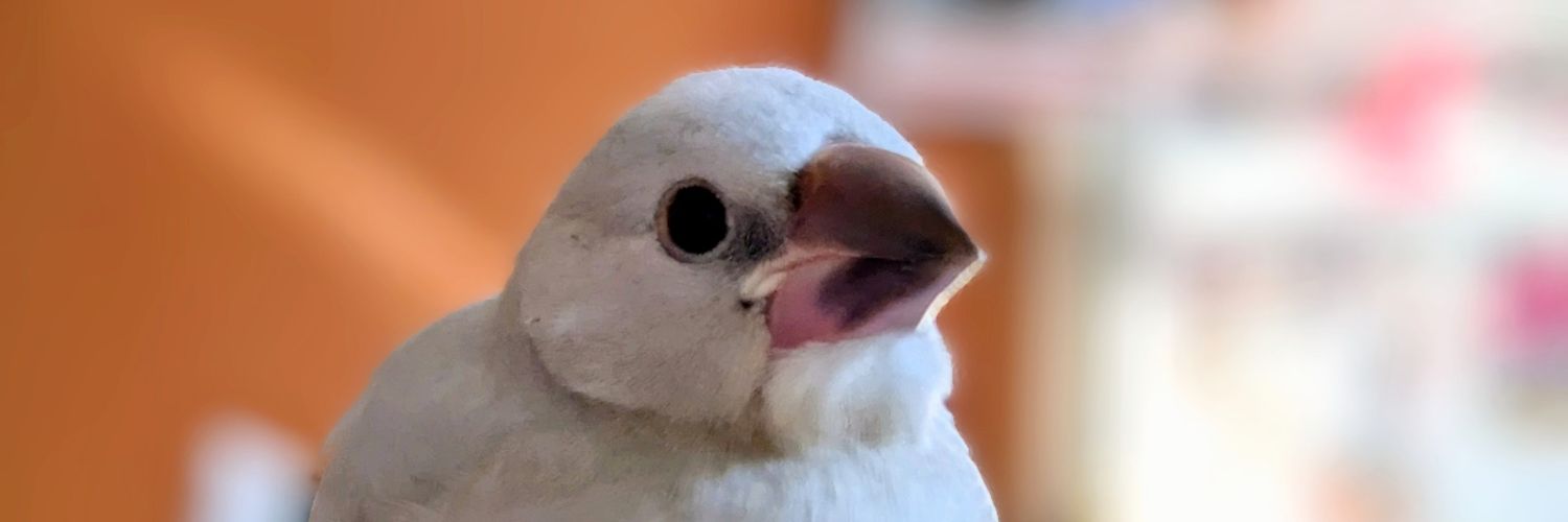 picobu03's profile banner image