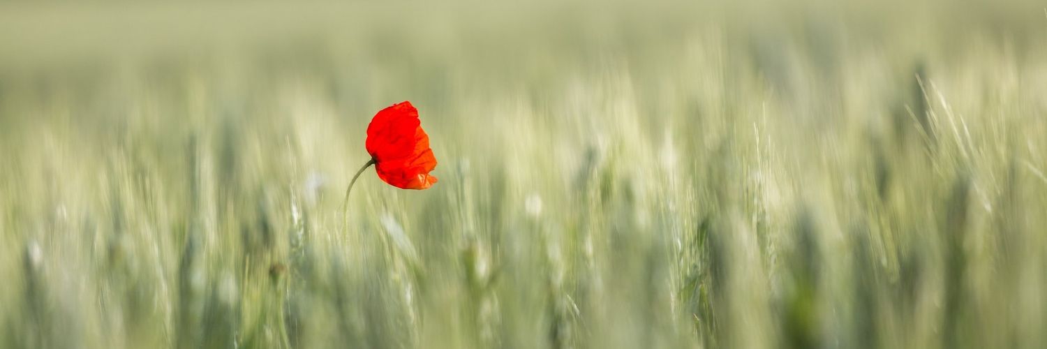 VirginiaRG banner