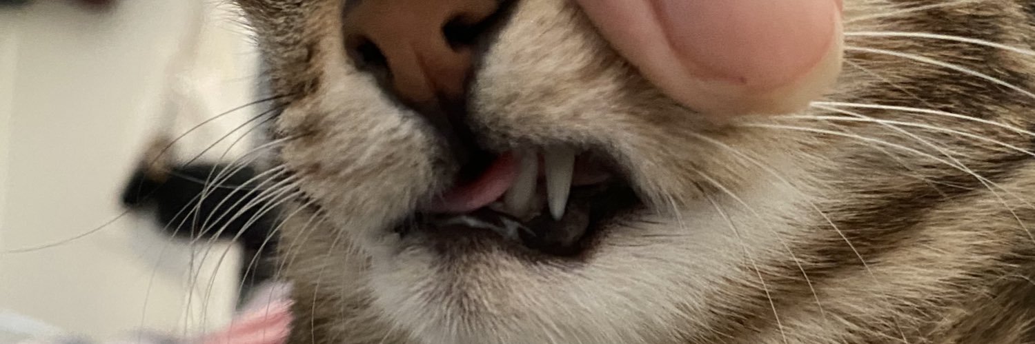 bebikimmm's profile banner image