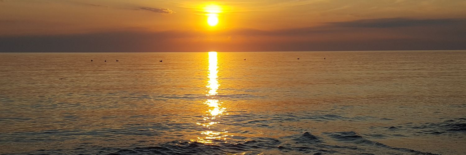 profwit's profile banner image