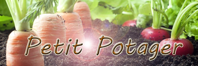 Petit Potager banner