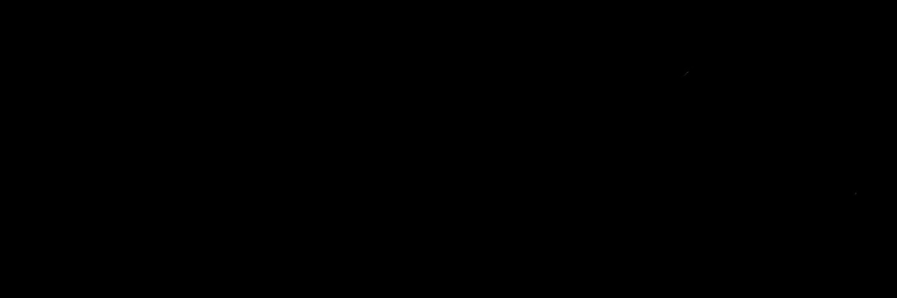 fena banner