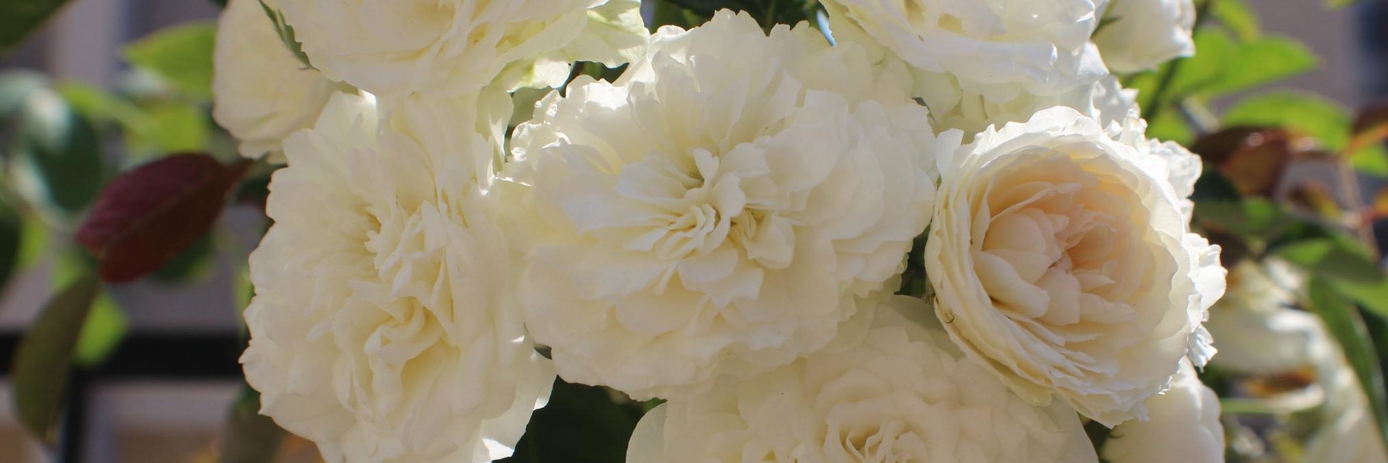 nabilrizk's profile banner image