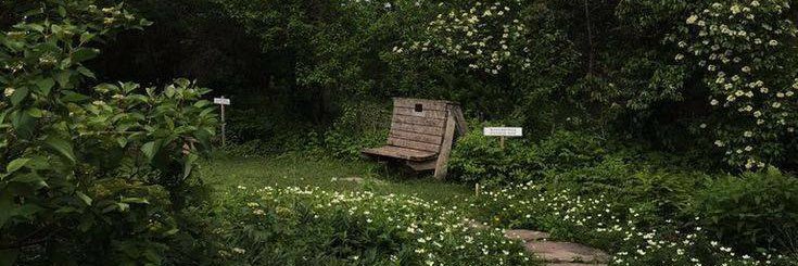 Lienka 👩🏻‍🌾🌱 Selling HD’s foods 🍔🥡 banner