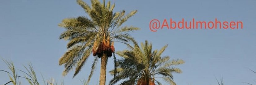 المهندس /عبدالمحسن العبدالمحسن banner