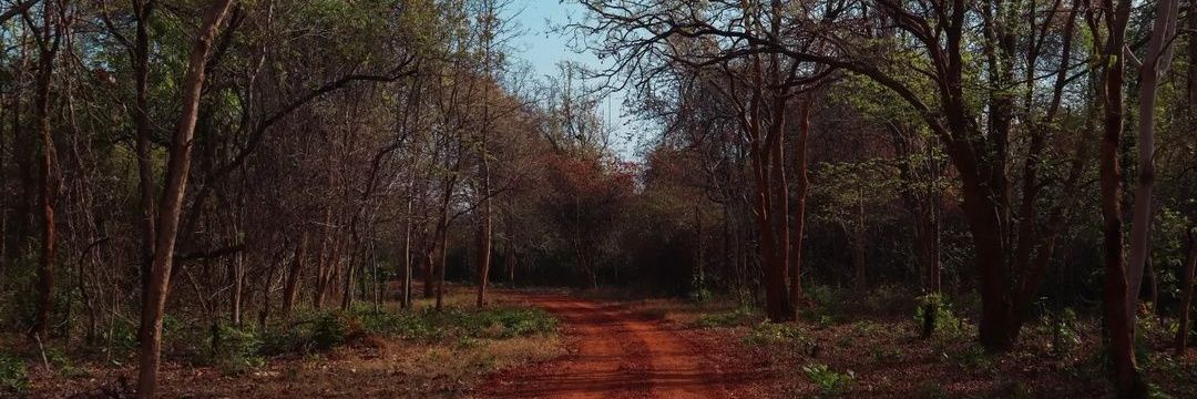 Parth Kulkarni 🇮🇳 banner