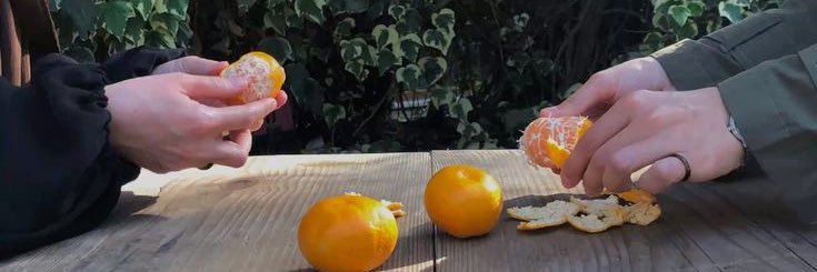 hayyblee's profile banner image