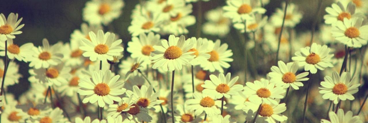 kubradmrtl's profile banner image
