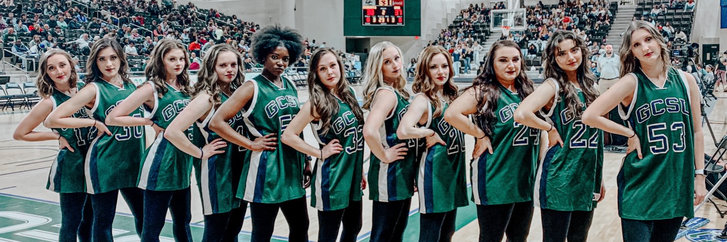 GCSassyCats's profile banner image