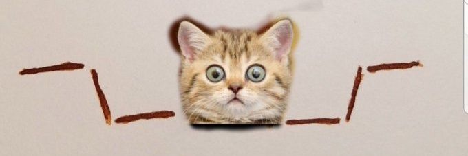 thisbenik_a's profile banner image