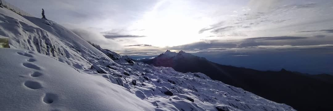 INPARQUES MÉRIDA🌱 banner