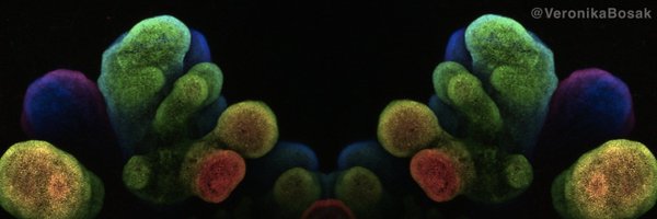 FricLab Profile Banner