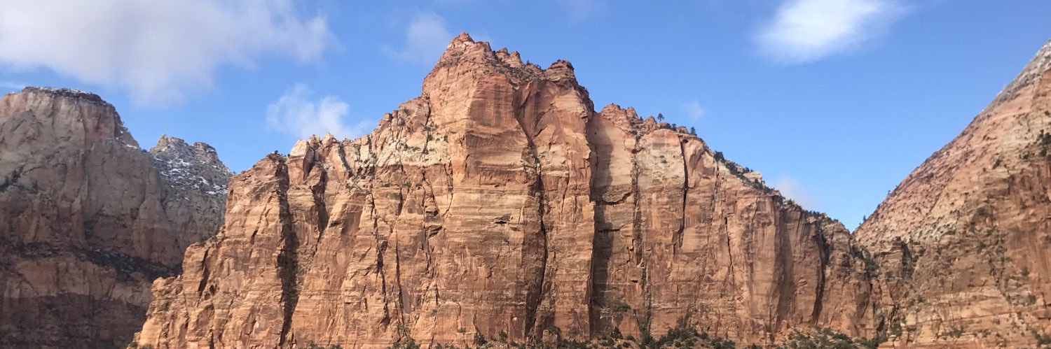 Denise Scots-Knight banner