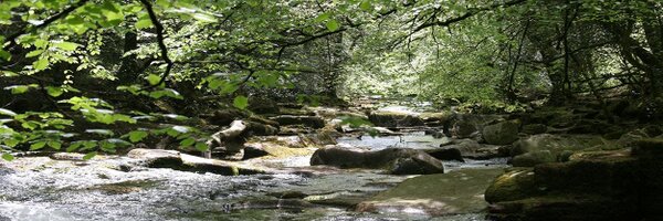 esmescottage Profile Banner