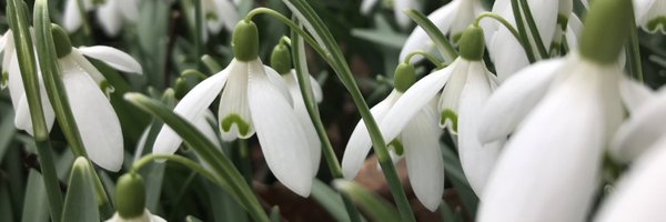 Knutsforddirect Profile Banner