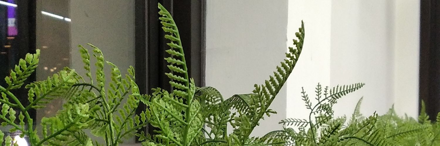Al121203's profile banner image