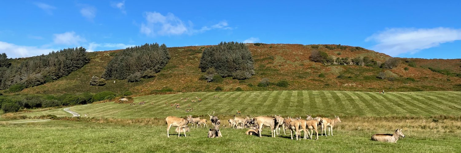 Margam Country Park banner