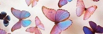 MatweewaLerka's profile banner image