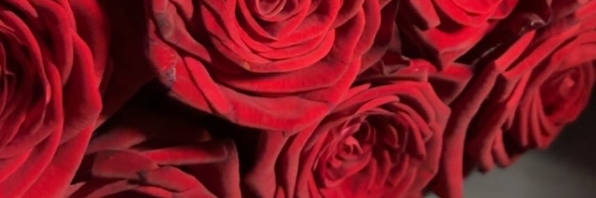 Soent7's profile banner image