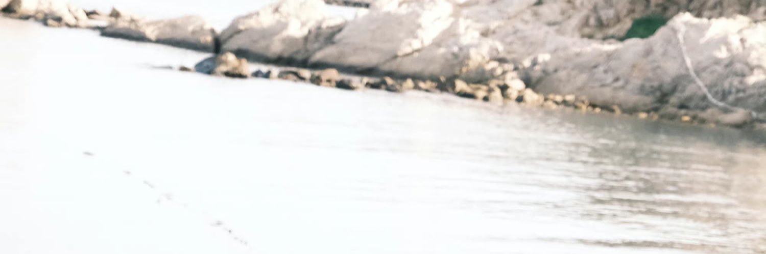 Nurit_ye's profile banner image