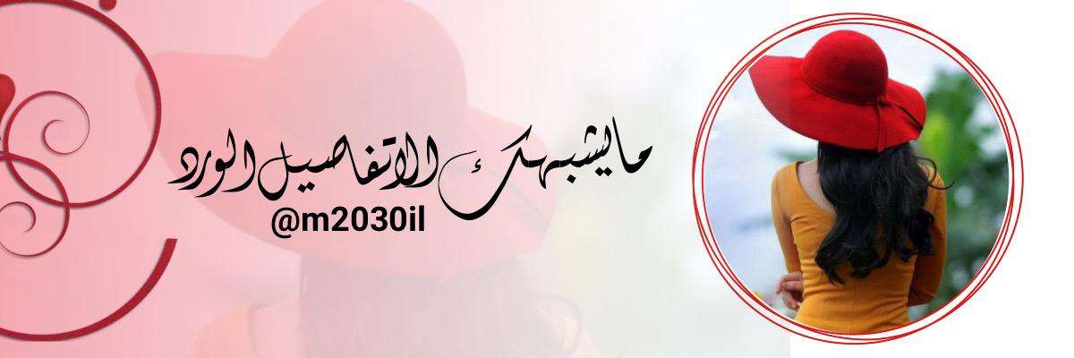 m2030il's profile banner image
