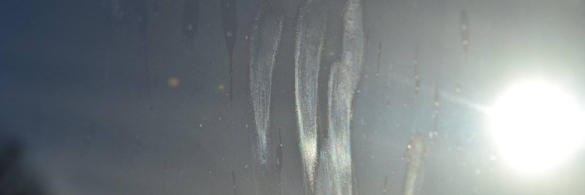 Francesca Ruth Levi banner