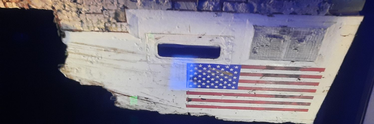 Bruce Gilley's banner