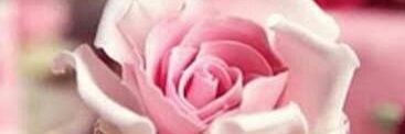 thatie_'s profile banner image