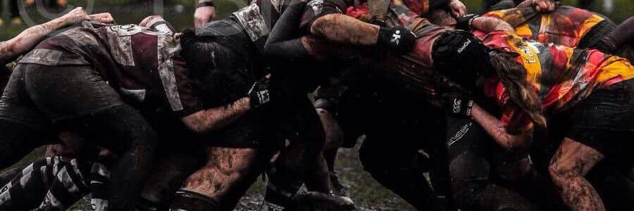 vezerity's profile banner image