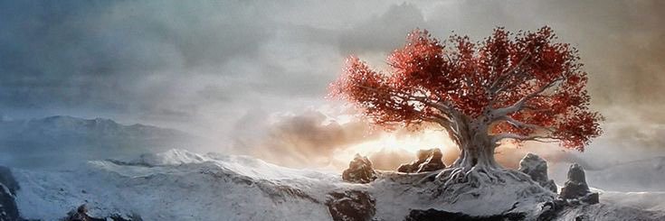 Baz banner