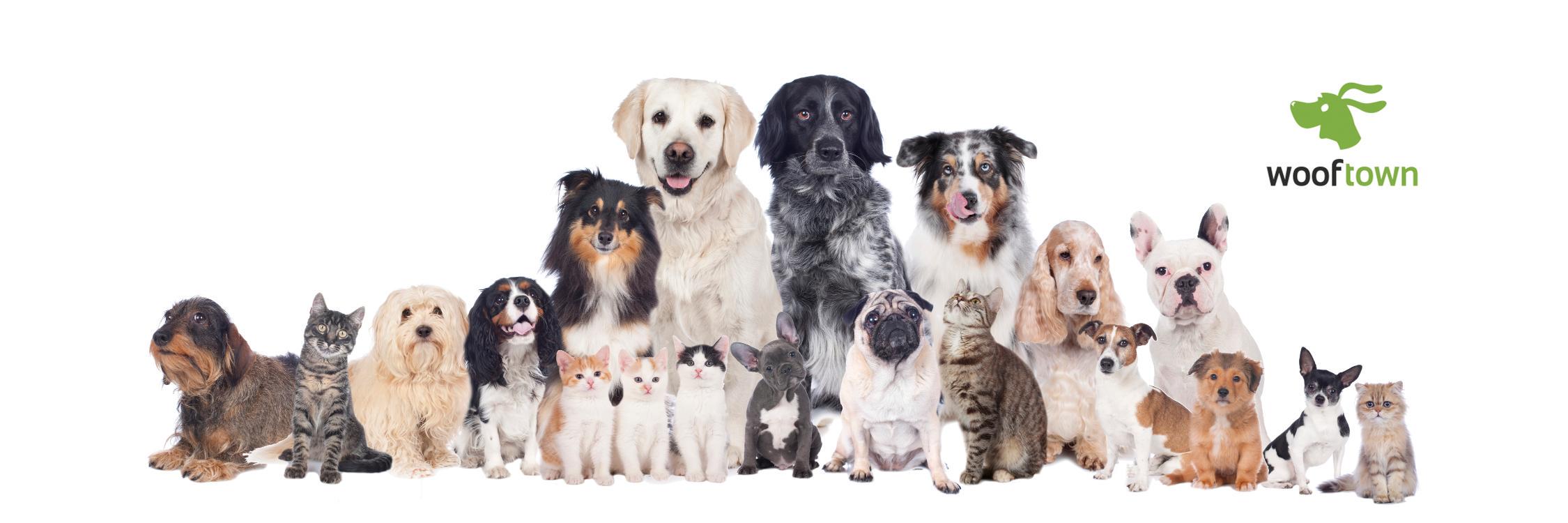 wooftownTO's profile banner image