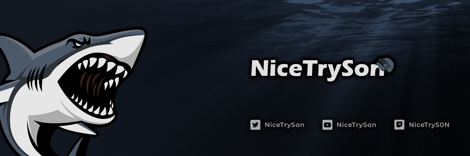 nicetryson's profile banner image