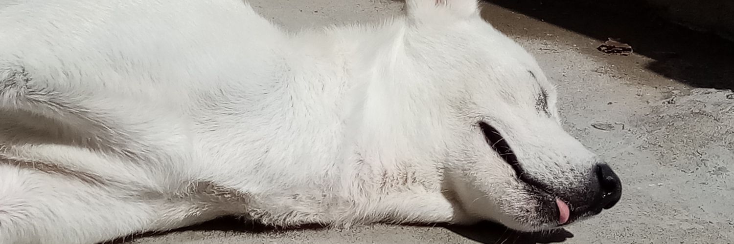 Manuel Hernández Lara banner