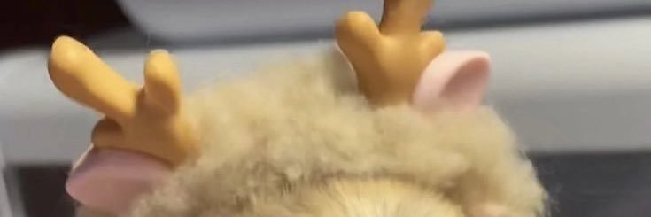ひす banner