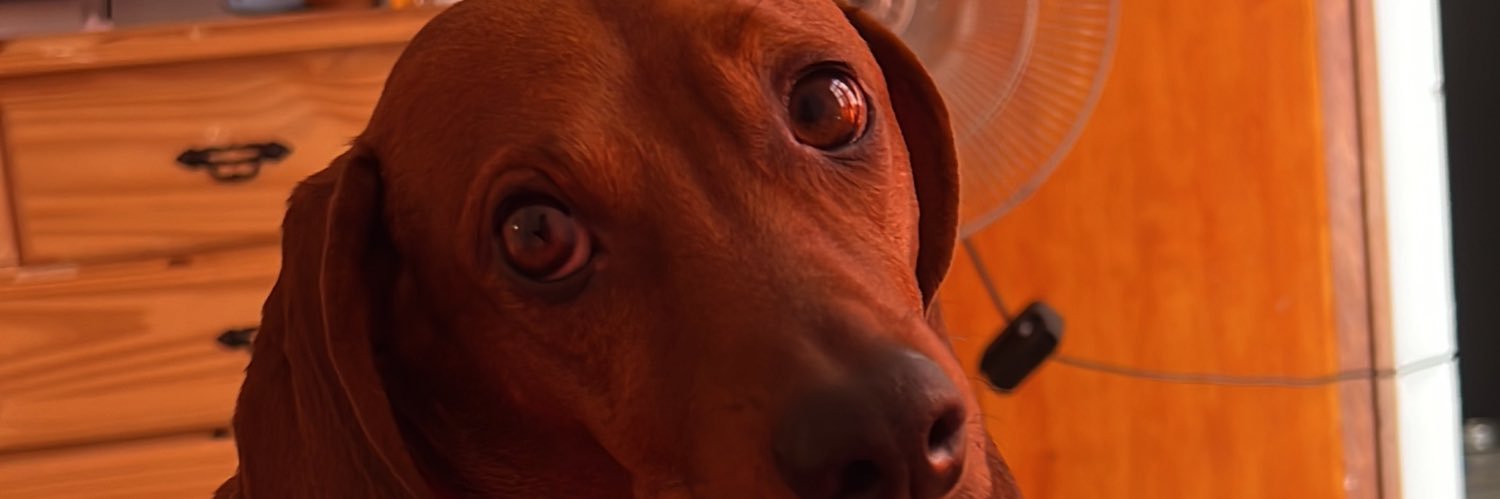 JuliMadera3's profile banner image