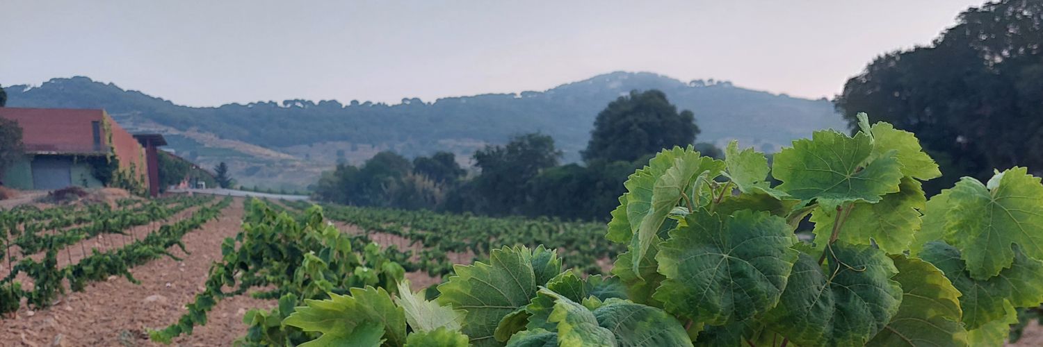 IPAYAT's profile banner image