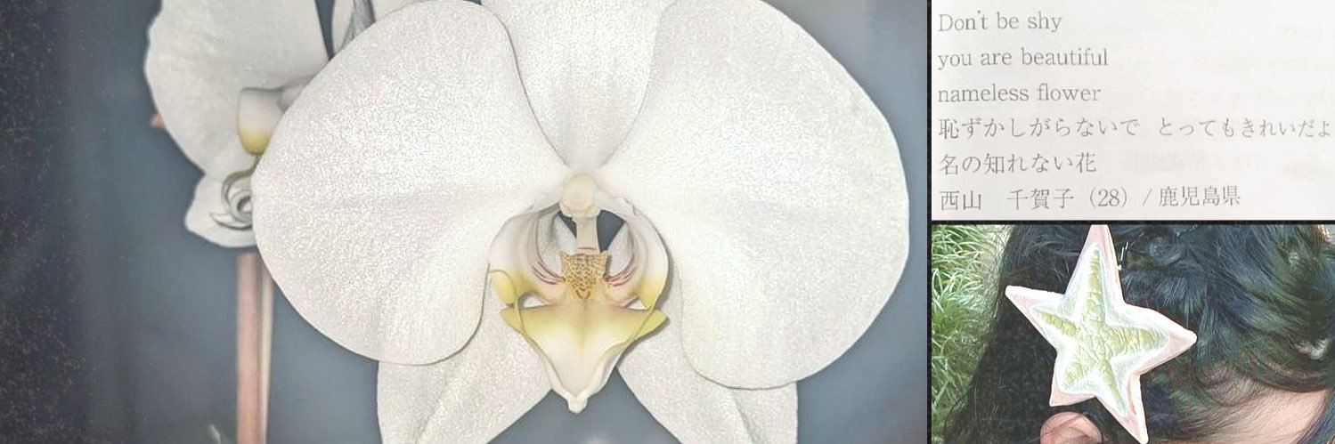 petalhearrt's profile banner image