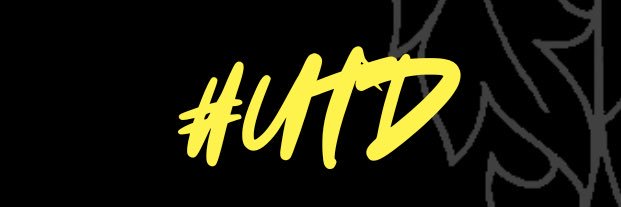 MTFC Development Team banner