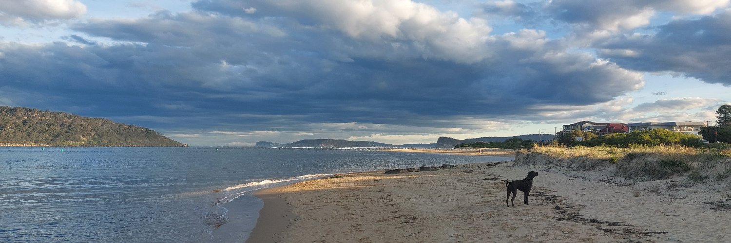 Courtney Reddacliff banner