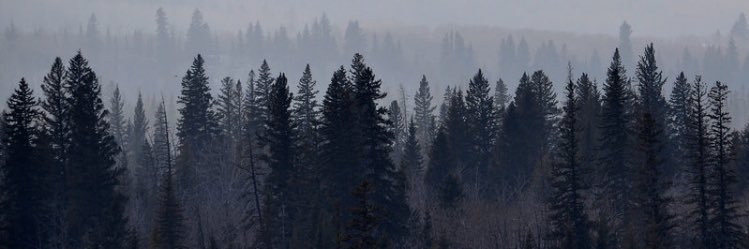ICrocitto's profile banner image
