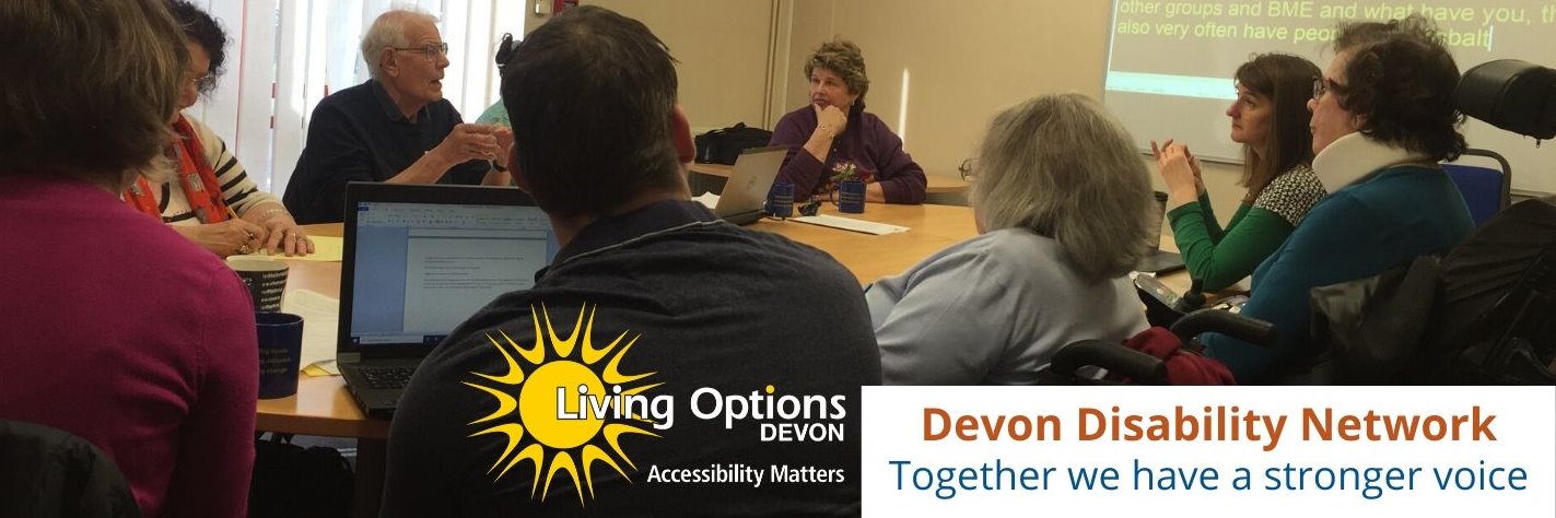 Devon Disability Network banner