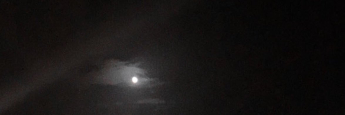 Amjadrx's profile banner image