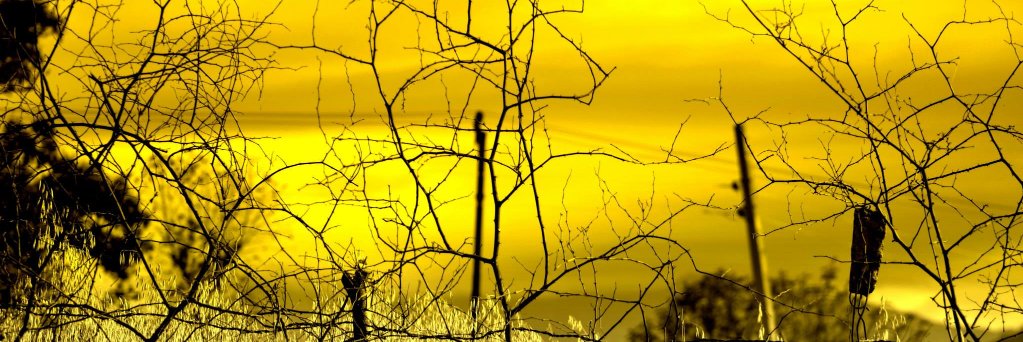 abhi_fun's profile banner image
