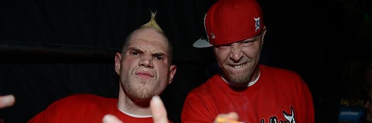 Terrordiddle's profile banner image
